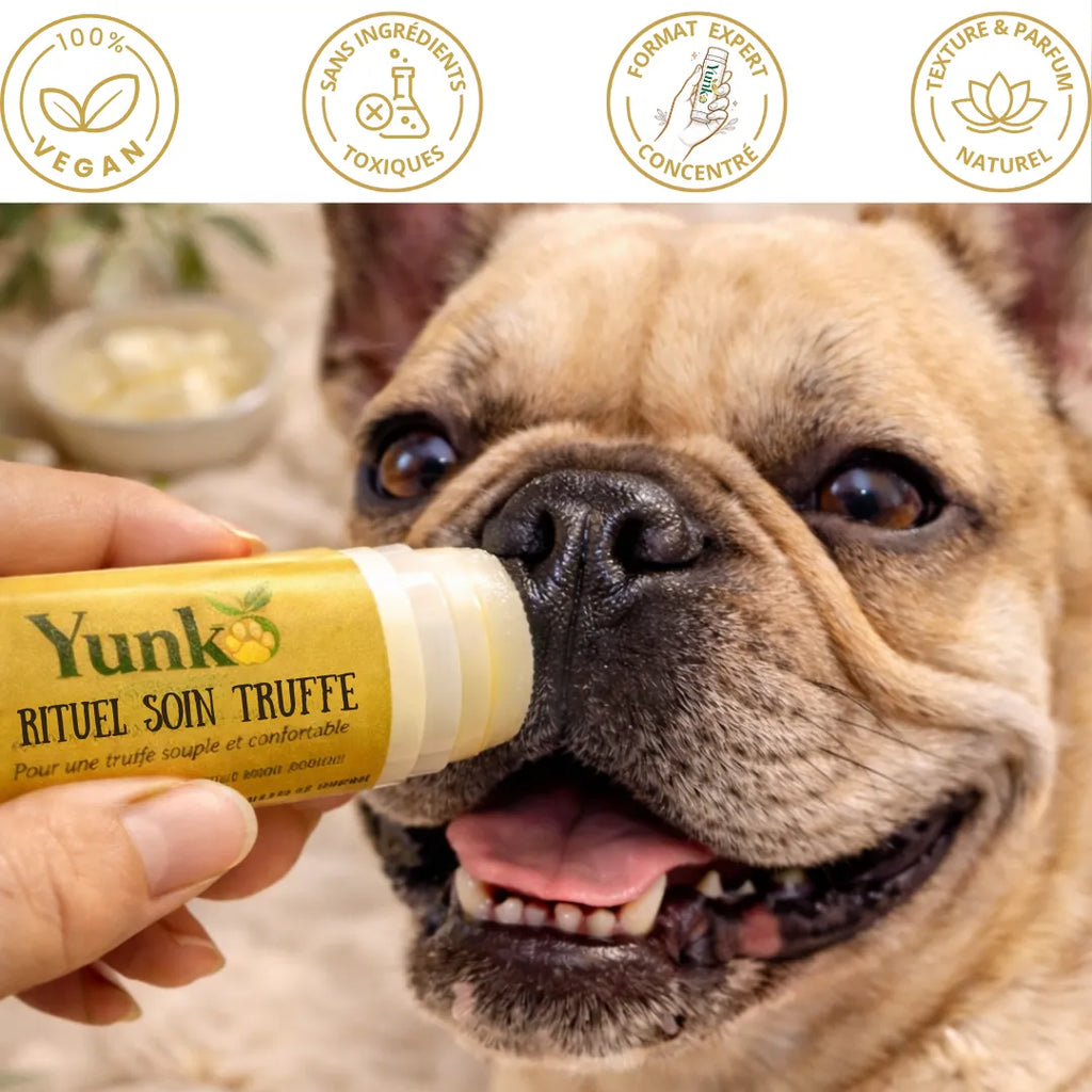 Rituel Soin Truffe