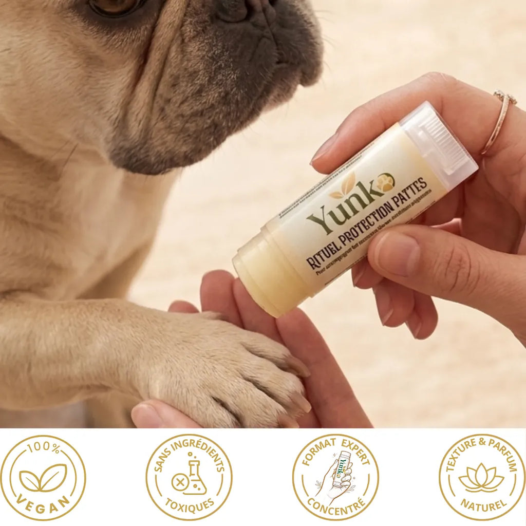 Rituel Protection Pattes