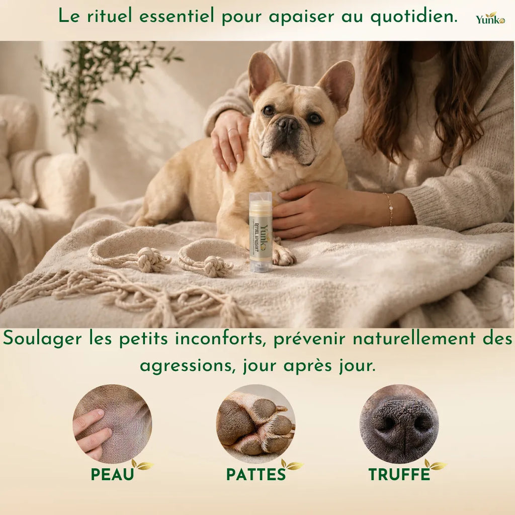 Rituel Apaisant - le rituel essentiel pour l'équilibre cutané du chien - soulager inconforts et agressions du quotidien