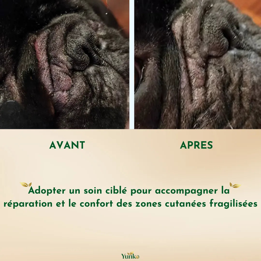 zones cutanées fragilisées du chien, utilisez le rituel soin peau yunko pour un soin ciblé