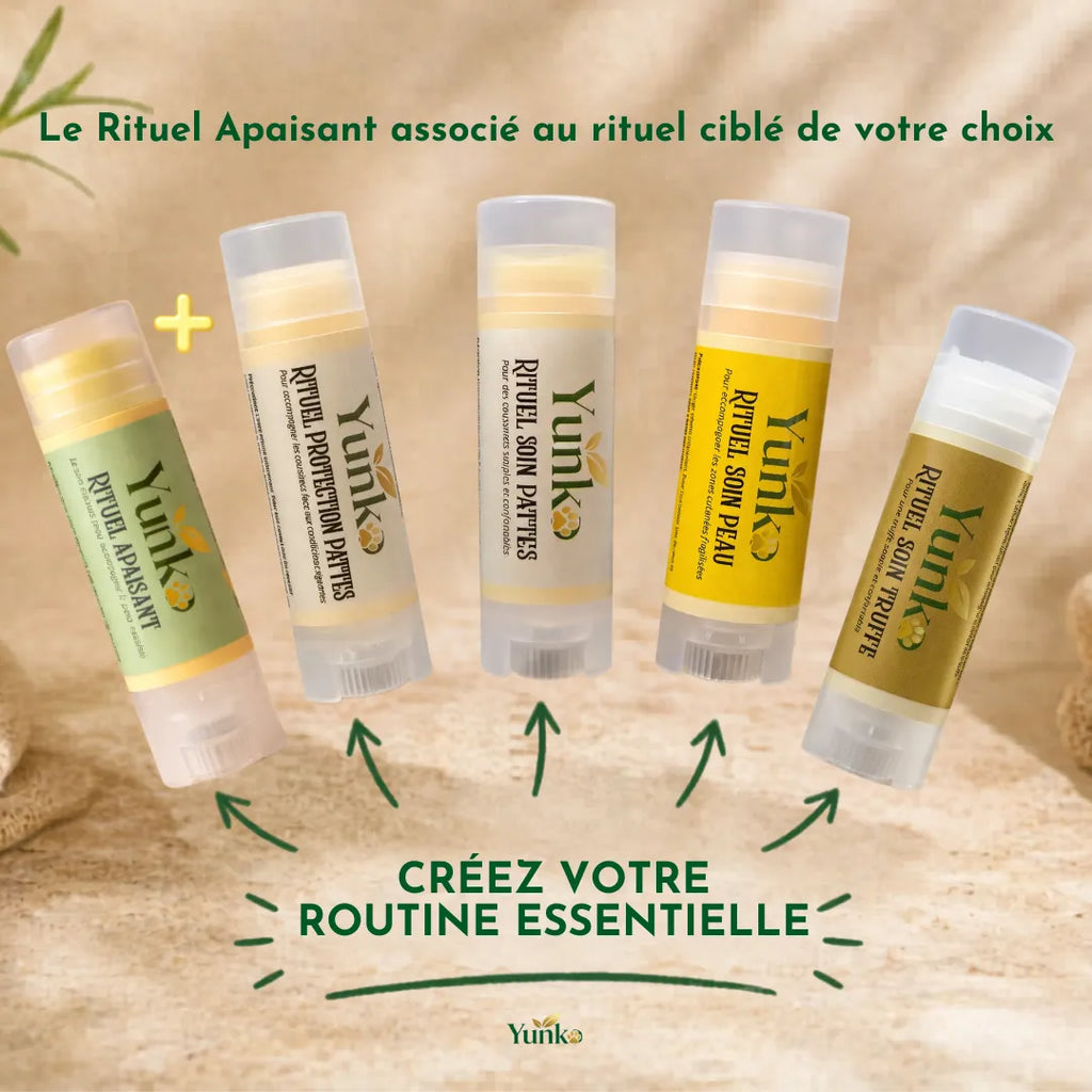 Yunko - Routine essentielle - Personnalisez votre routine pour un soin ciblé des zones sensibles de votre chien