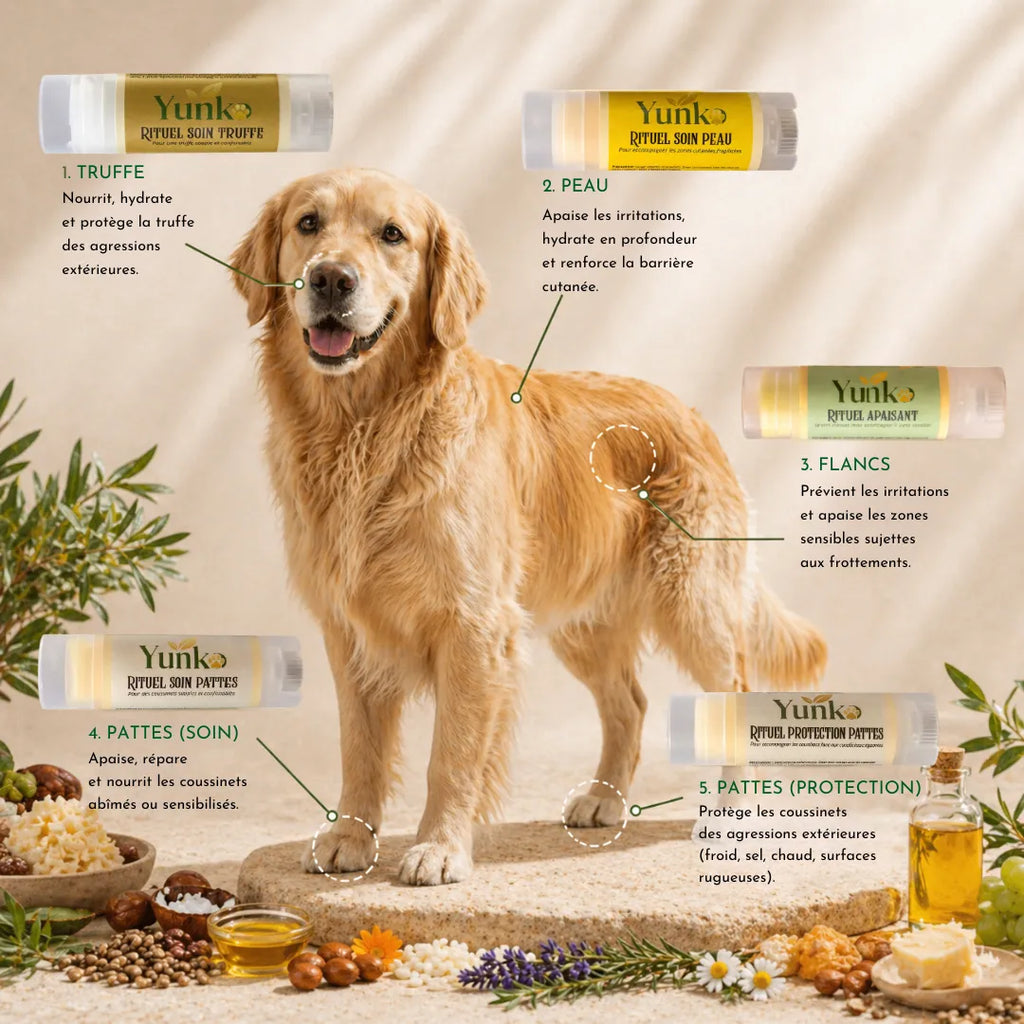 Yunko - Routine signature pour un soin complet des zones sensibles du chien