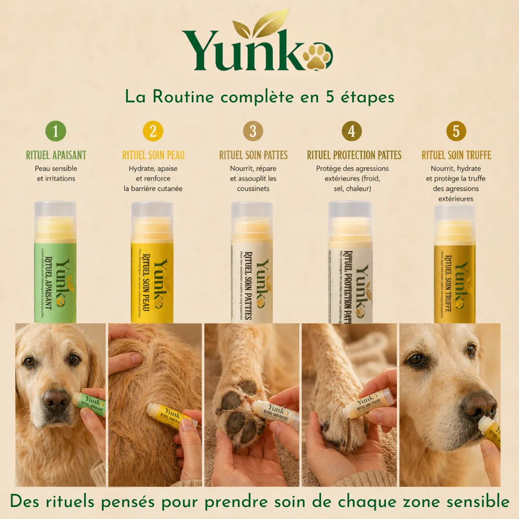 Yunko - la routine complète en 5 étapes pour prendre soin de chaque zone sensible u chien