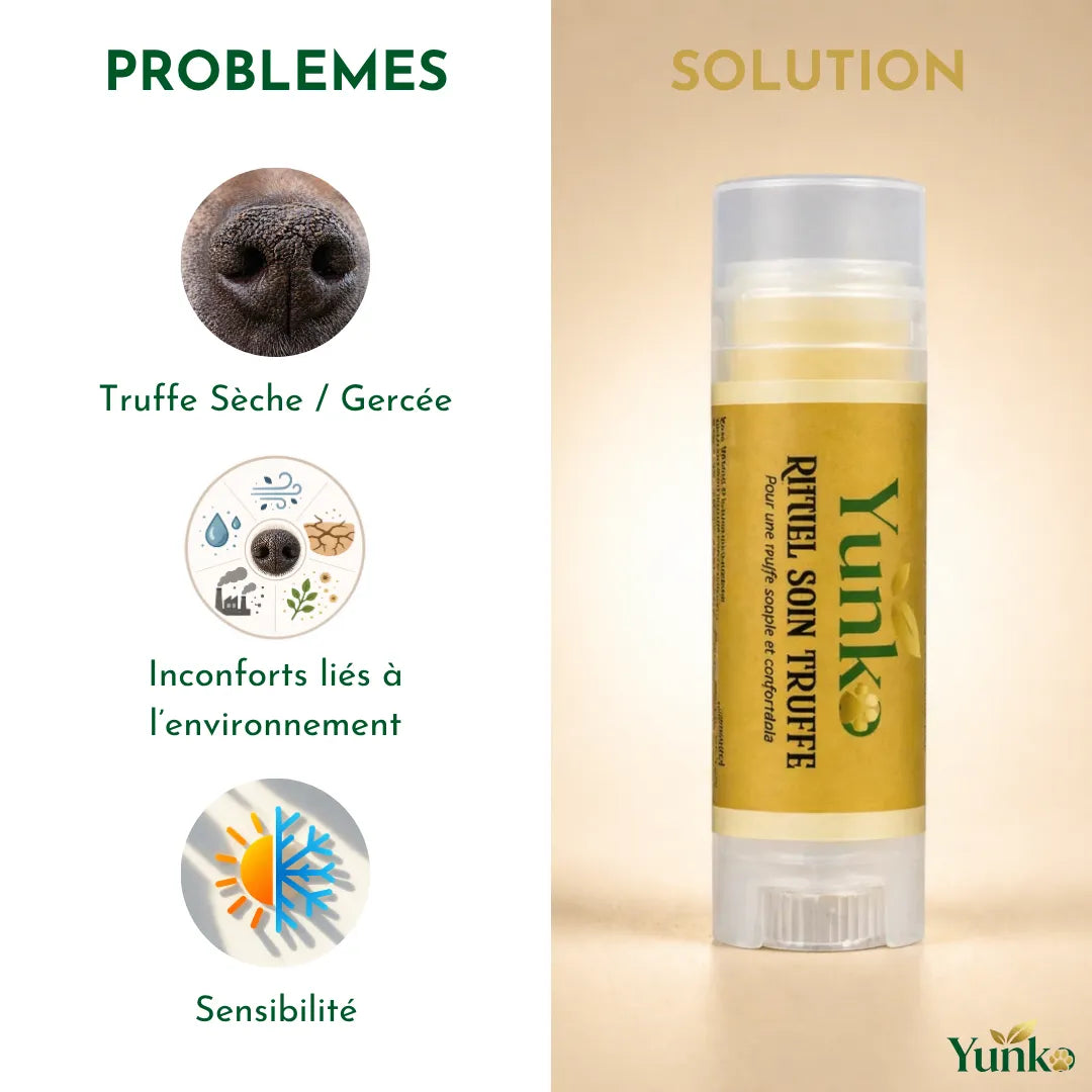 Yunko - Rituel soin truffe - truffe sèche ou gercée chez les chiens, inconforts liés à l'environnement, sensibilité de la truffe du chien