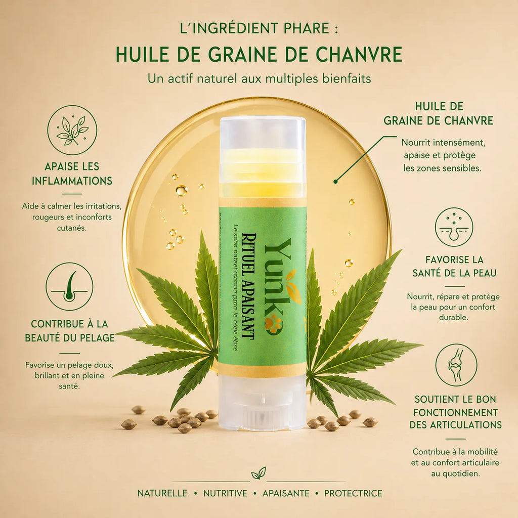 L'huile de graine de chanvre dans la plupart e nos rituels Yunko pour chien