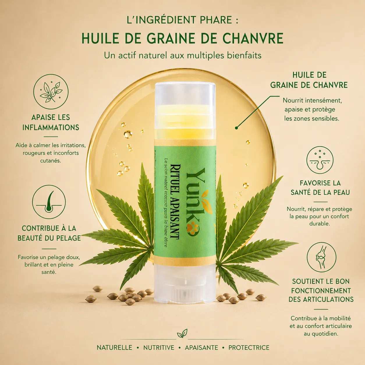 L'huile de graine de chanvre dans la plupart e nos rituels Yunko pour chien