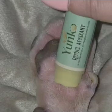 Rituel Apaisant